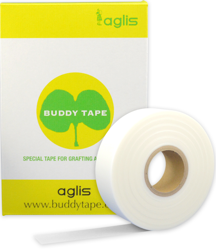 Buddy Tape  Aglis Corporation